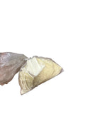 Ostrich shells