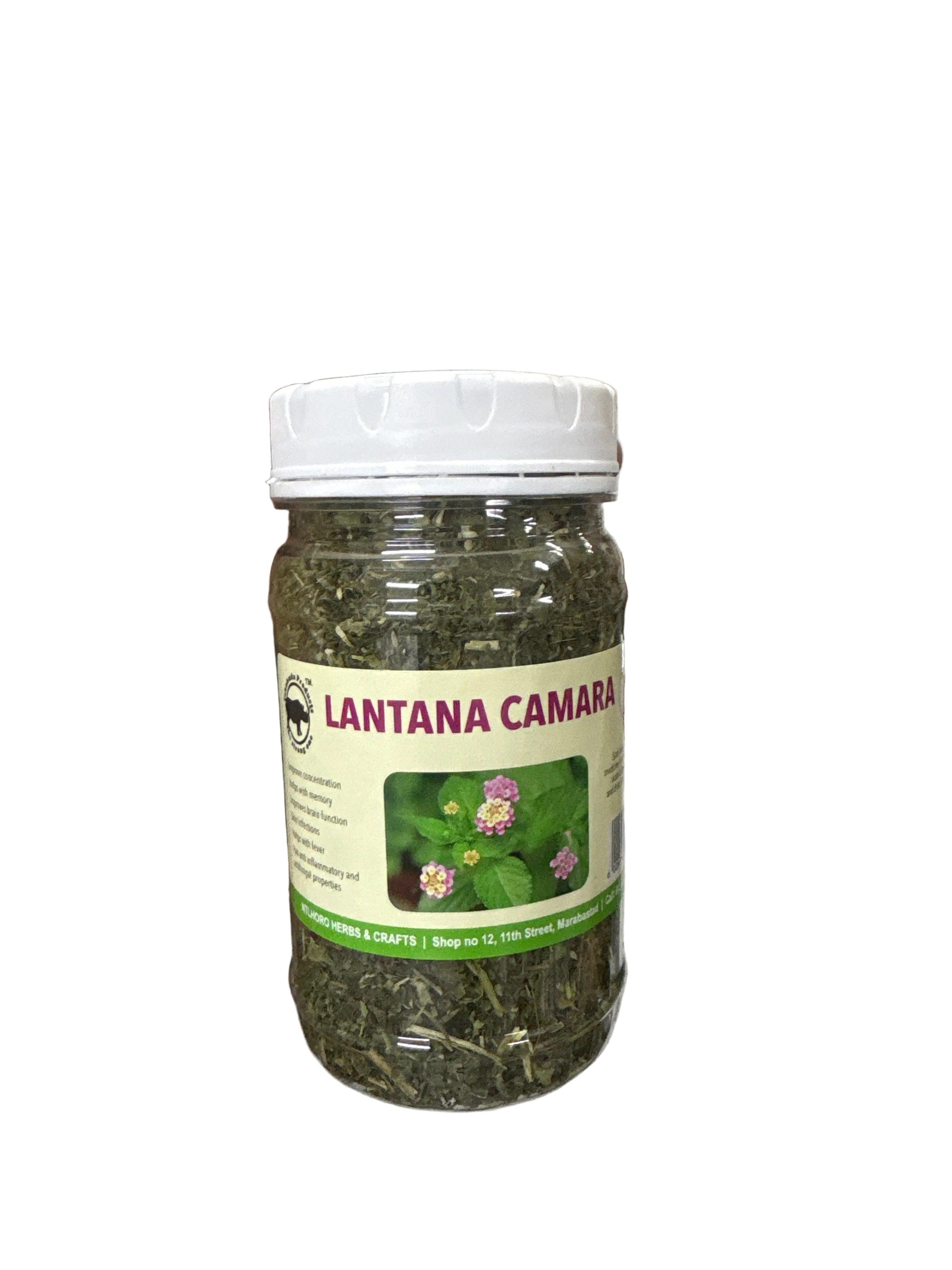 Lantana camara