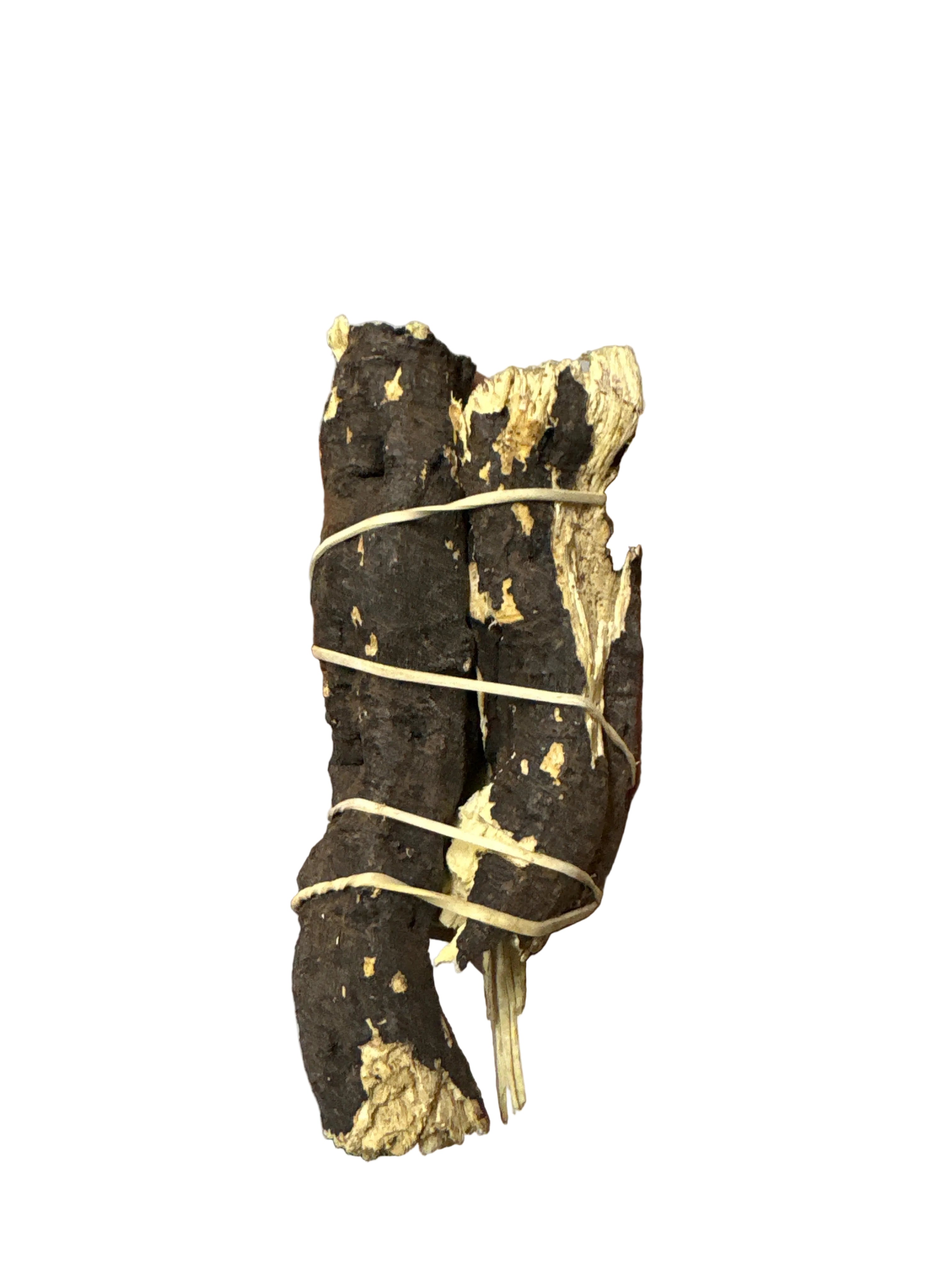 Ndoda mnyama/ Monna motsho