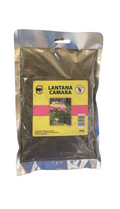 Lantana camara
